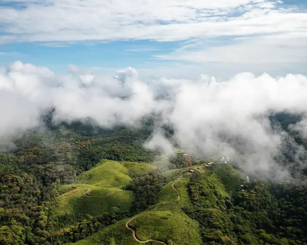 drone-sinharaja-forest-reserve-rainforest-sri-lanka-4.jpg